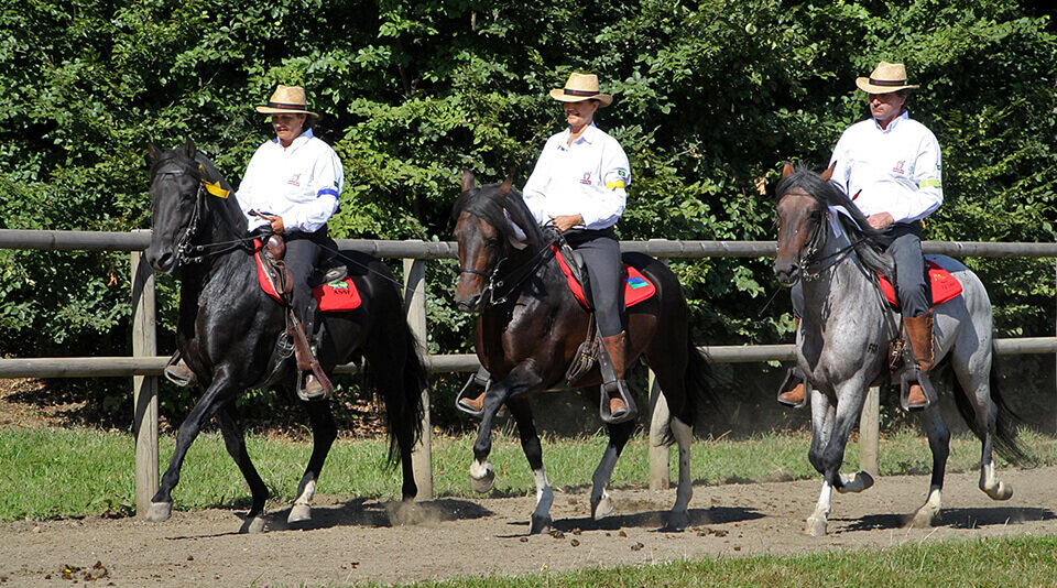 Riders on Mangalarga Marchadores